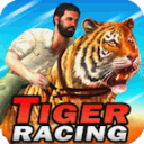 ϻܰ׿(Tiger Racing 3d) v1.0