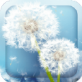 ѹӢapp׿  v1.2.1