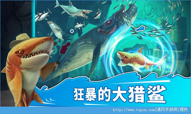 饥饿鲨世界hungry Shark World怎么玩 新手攻略 图 游戏攻略 清风手游网