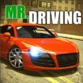 Mr Drivingİ׿  v1.0