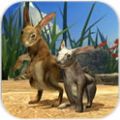 壨Clan of RabbitsϷ׿  v1.0