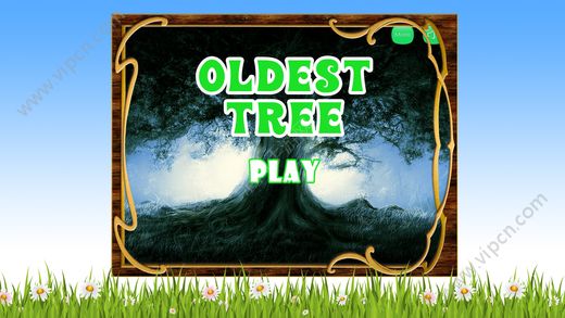 Oldest TreeϷͼƬ2