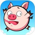 Animal RainϷٷֻ  V1.0.1