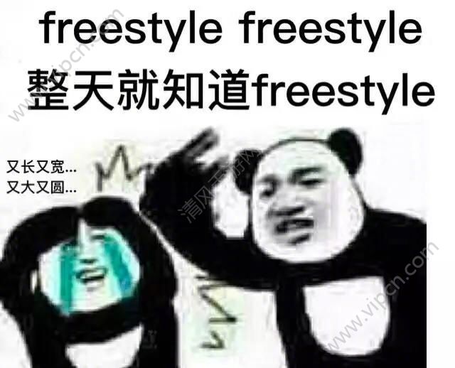 freestyleʲôෲfreestyleˮӡ[ͼ]ͼƬ2