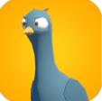 Ϯ׿棨Pigeons Attack  v1.0