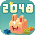 2048ӴϷ׿  v1.0