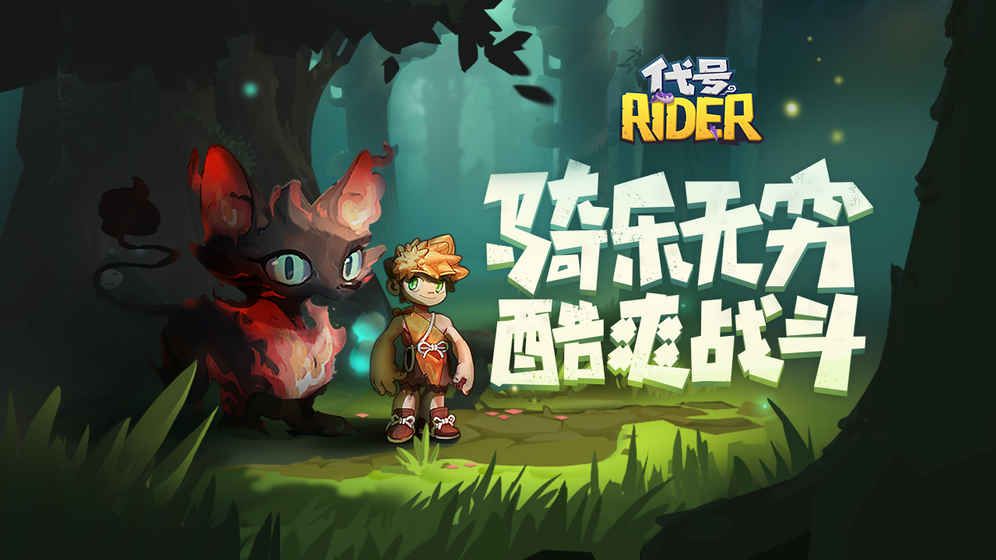 ״RiderͼƬ2