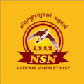 NSN Baixar apk para Android 2.2.1