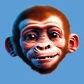 Ticker Monkey apk Download  for Android  v1.0