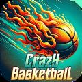 Crazy Basketball Slam Dunk apk Download  for Android v0.1