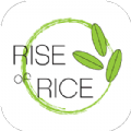 rise of rice app Download for Android 6.3