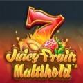 Juicy Fruits Multihold slot apk para android  1.0.0