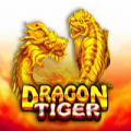 The Dragon Tiger slot apk