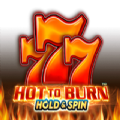 Hot to Burn slot apk para android  1.0.0