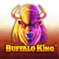 Buffalo King slot apk