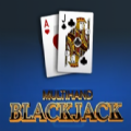 Multihand Blackjack slot apk para android  1.0