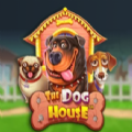 The Dog House slot apk para android  1.0