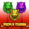 Triple Tigers slot apk