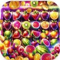 Magic Fruits apk download para