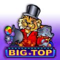 Big Top slot apk