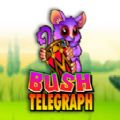 Bush Telegraph slot apk