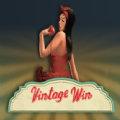 Vitntage Win slot apk para and