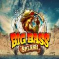 Big Bass Splash slot apk