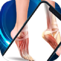 Xray Scanner Face Body Fun apk