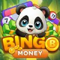 Panda Bingo Mania Super Win ap