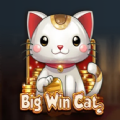 Big Win Cat slot apk para andr