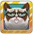 ŭè׿棨Angry Cat Jump  v1.0.3